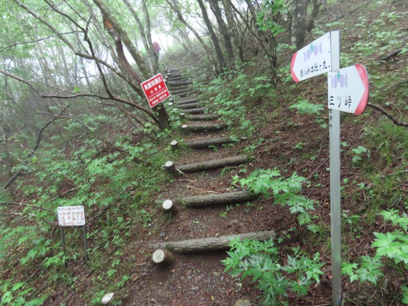 三ツ峠山〜清八山〜天下茶屋