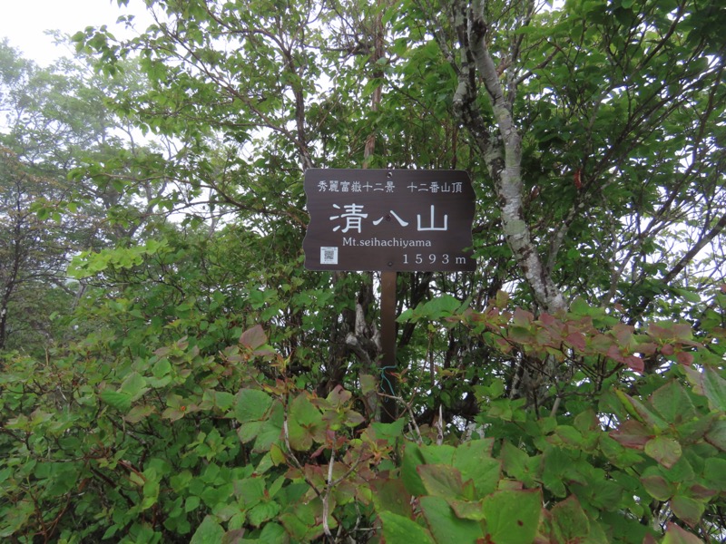 三ツ峠山〜清八山〜天下茶屋