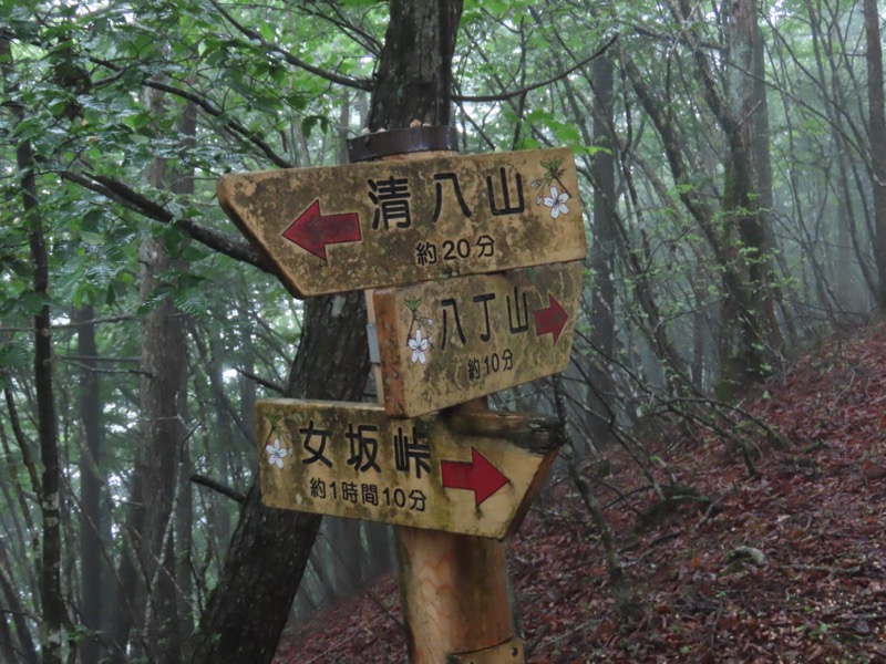 三ツ峠山〜清八山〜天下茶屋