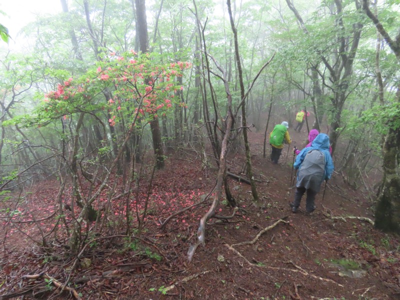 三ツ峠山〜清八山〜天下茶屋