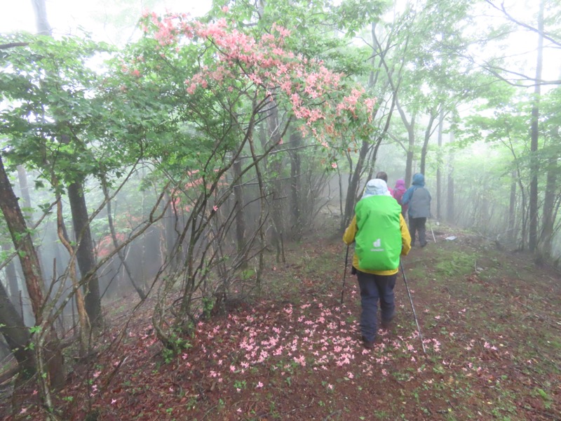 三ツ峠山〜清八山〜天下茶屋