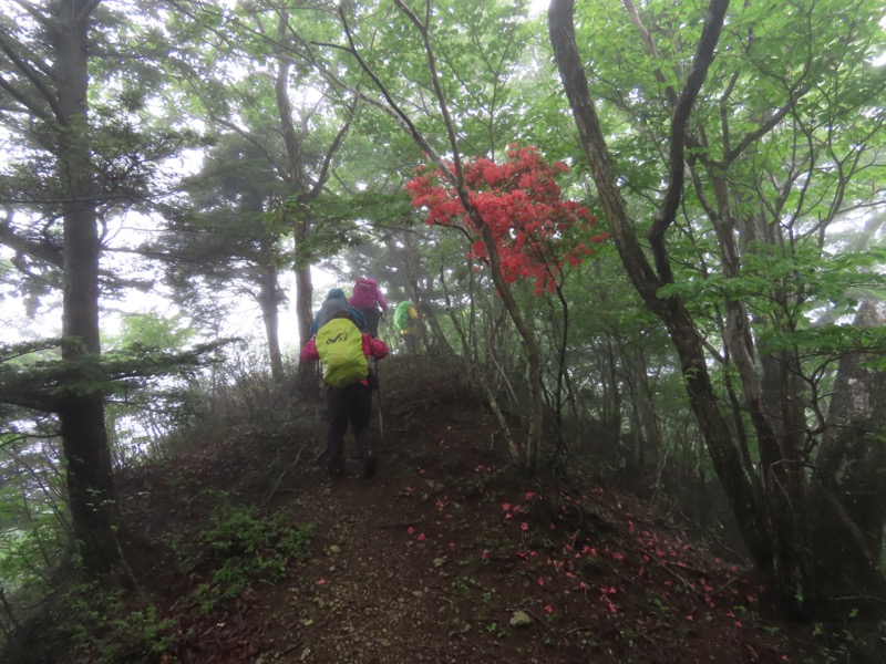 三ツ峠山〜清八山〜天下茶屋