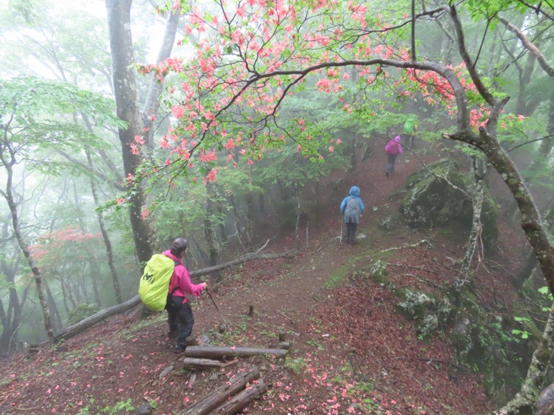 三ツ峠山〜清八山〜天下茶屋