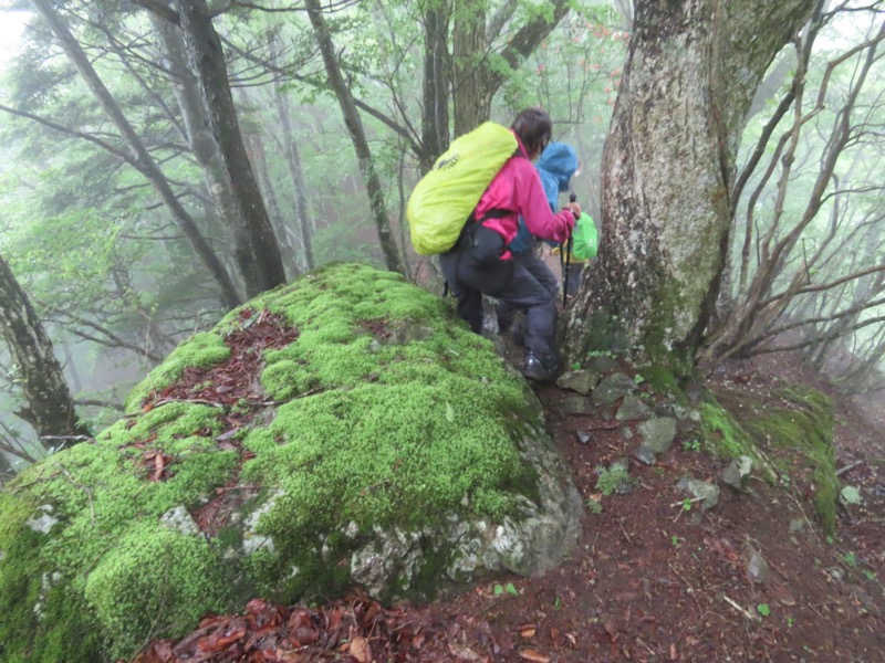 三ツ峠山〜清八山〜天下茶屋