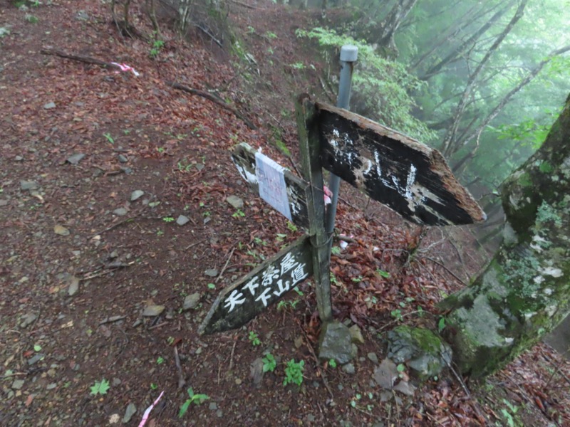 三ツ峠山〜清八山〜天下茶屋