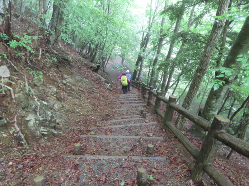 三ツ峠山〜清八山〜天下茶屋