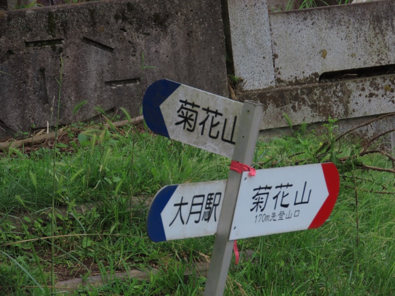 九鬼山