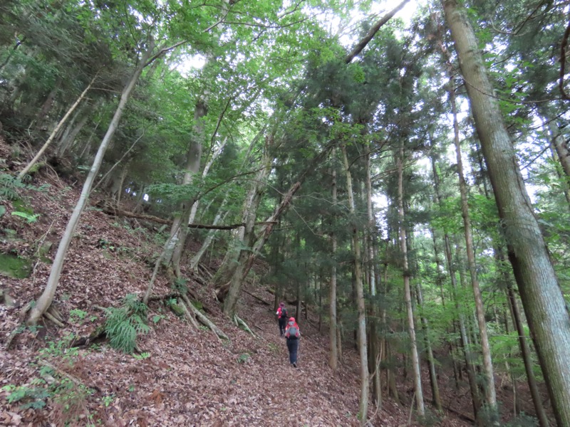 九鬼山