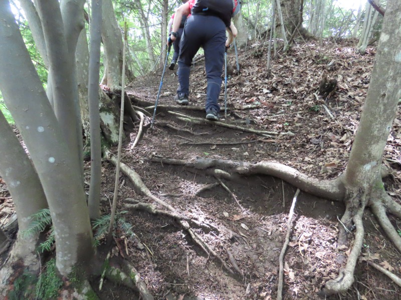 九鬼山