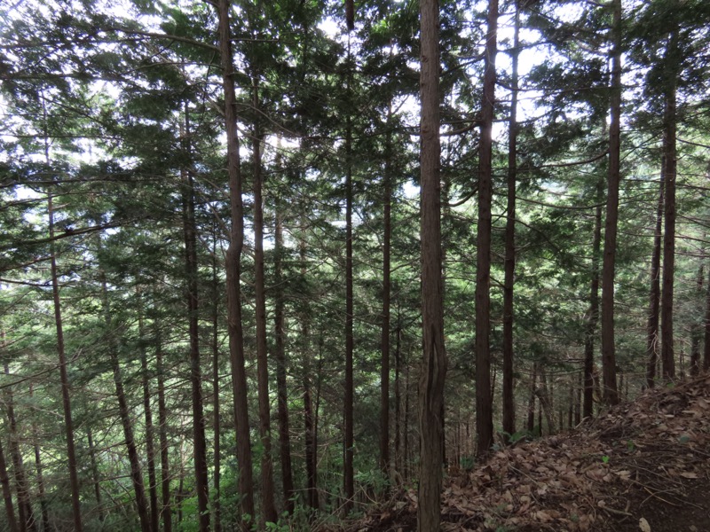 九鬼山