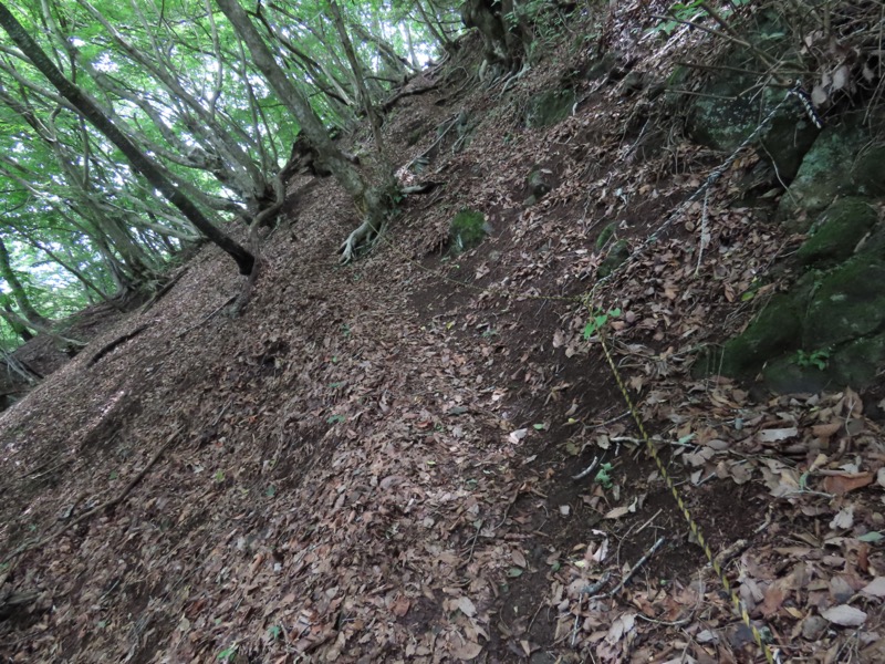 九鬼山