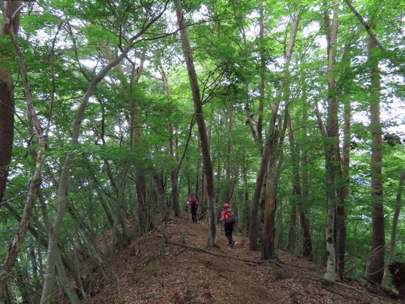 九鬼山