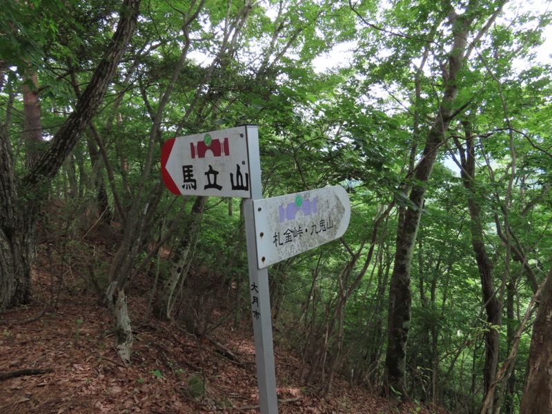 九鬼山