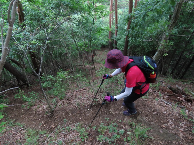 九鬼山