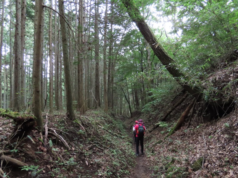 九鬼山