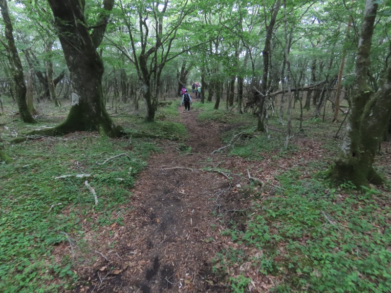 三国山、山中湖