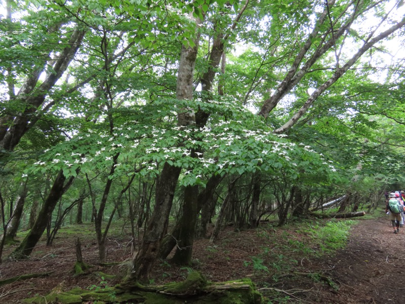 三国山、山中湖