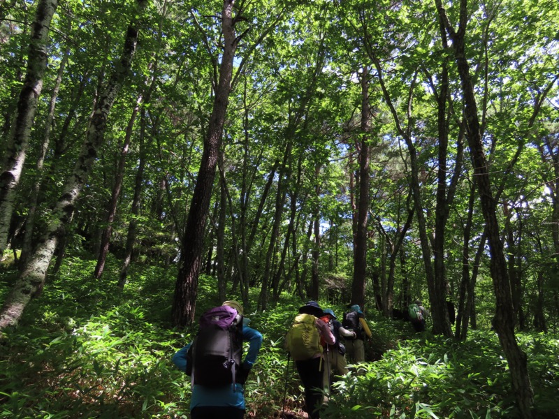 編笠山