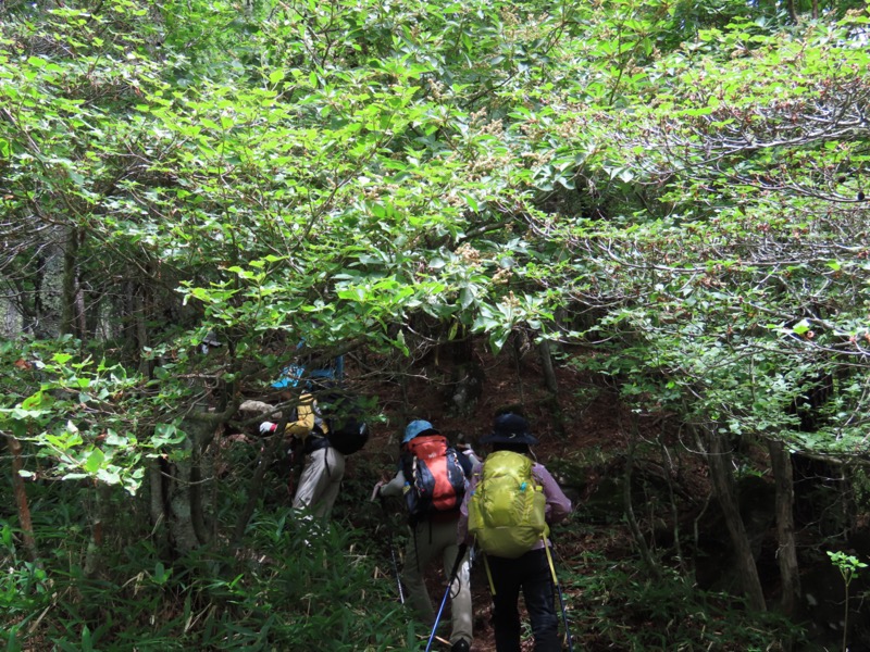 編笠山