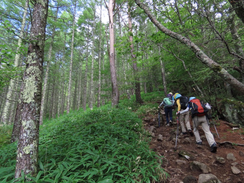 編笠山