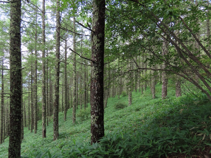 編笠山