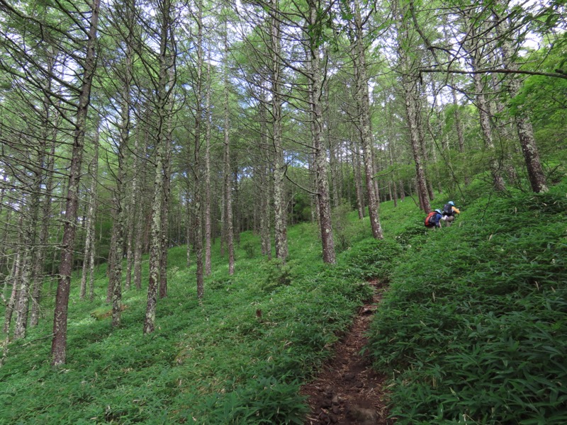 編笠山