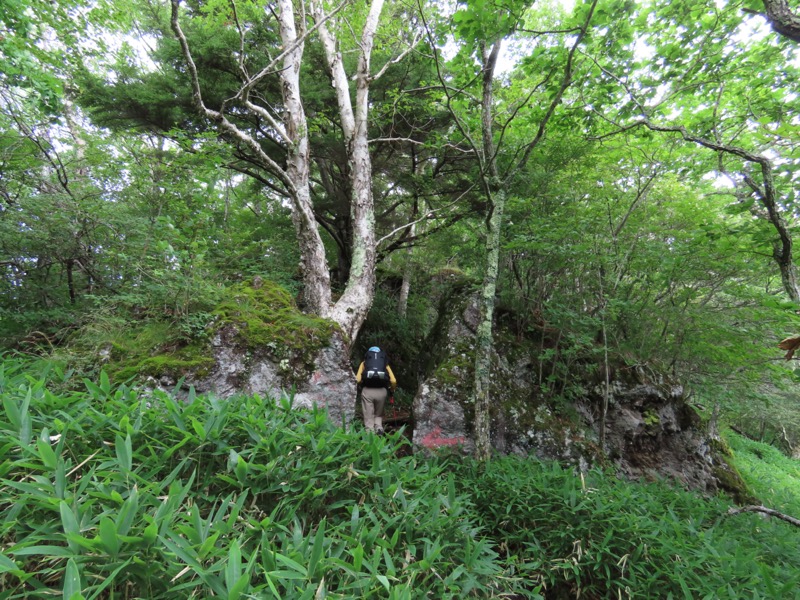 編笠山