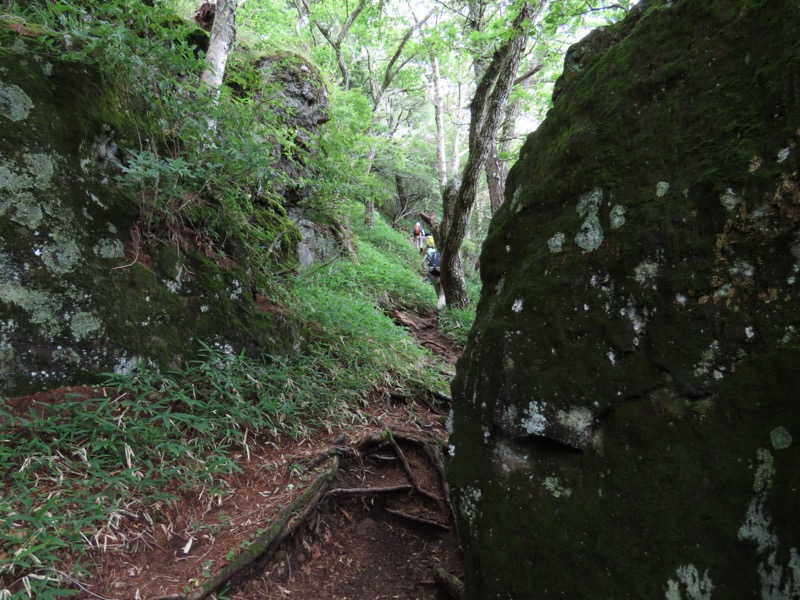編笠山