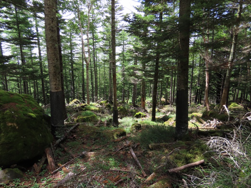 編笠山