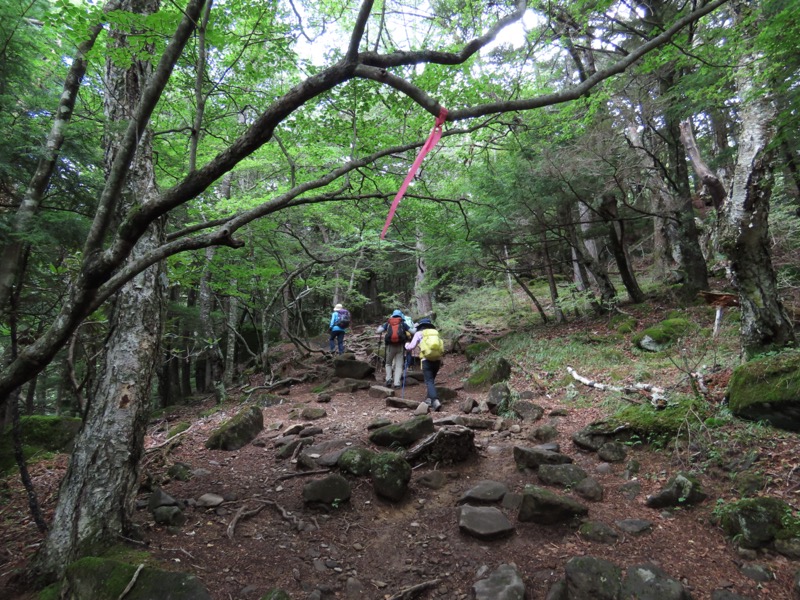 編笠山