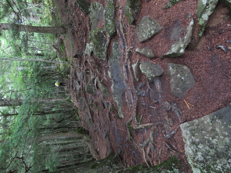 編笠山