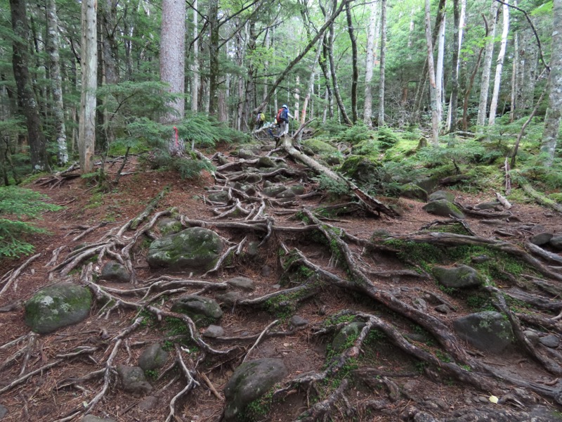編笠山