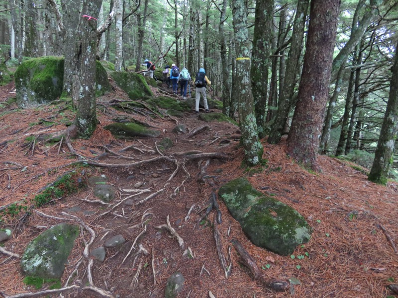 編笠山