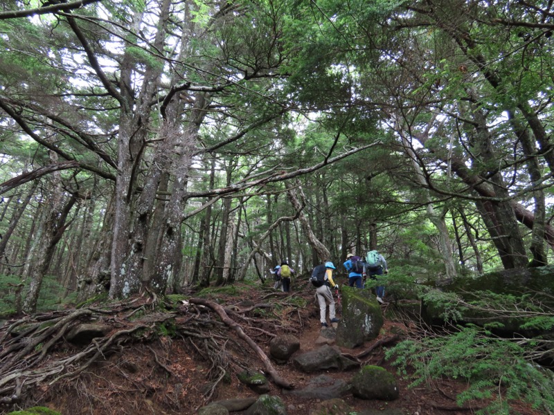 編笠山