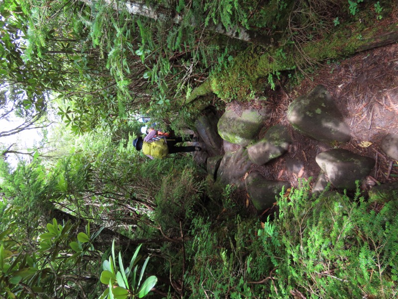 編笠山