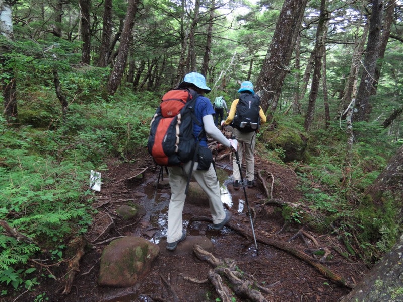 編笠山