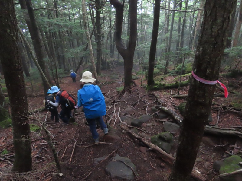 編笠山