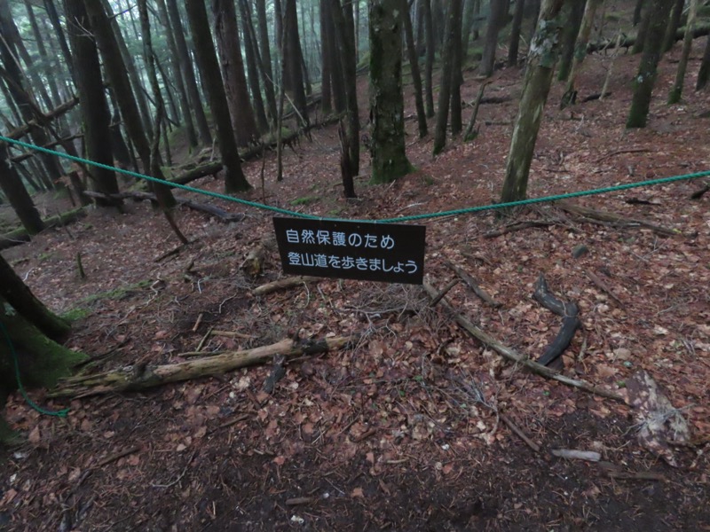 編笠山