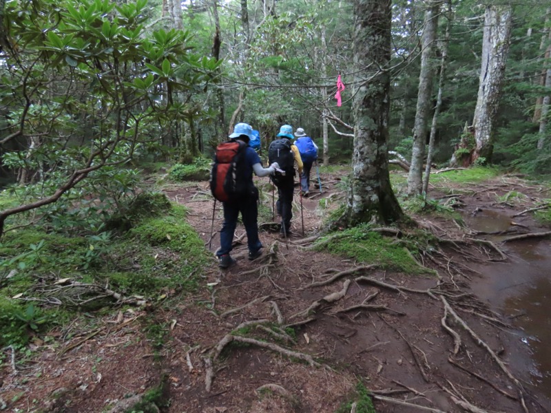 編笠山