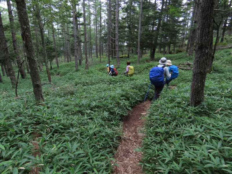 編笠山
