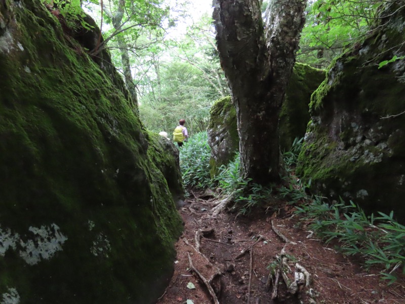 編笠山