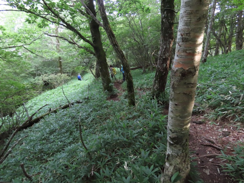 編笠山