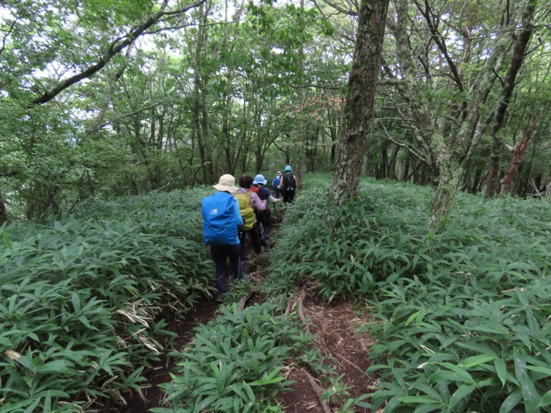 編笠山