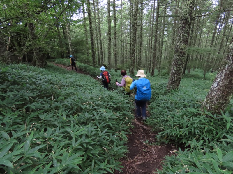 編笠山