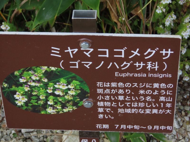 白馬岳、白馬三山