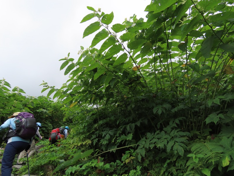 白馬岳、白馬三山