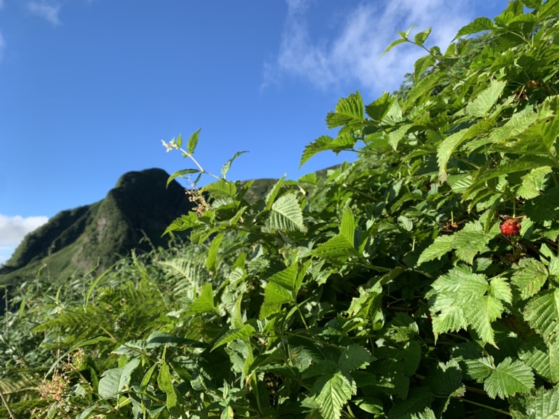 白馬岳、白馬三山