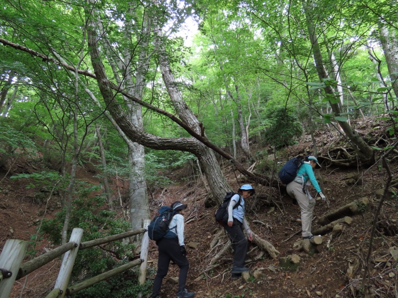 黒岳　御坂山