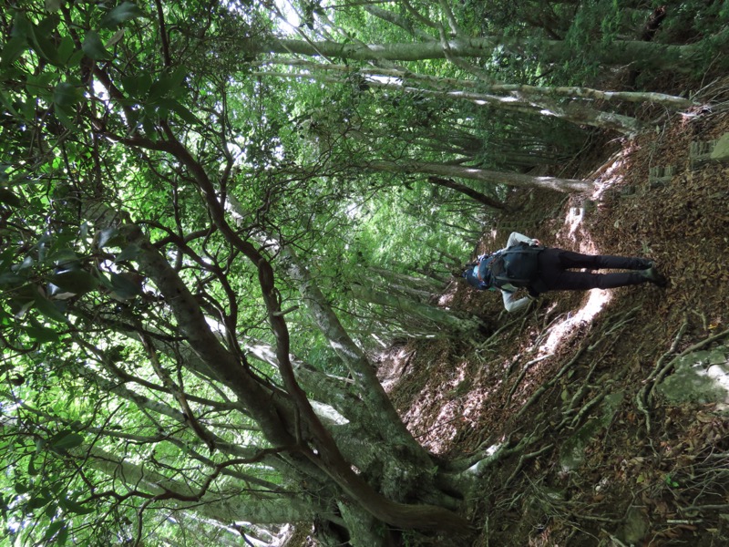 黒岳　御坂山