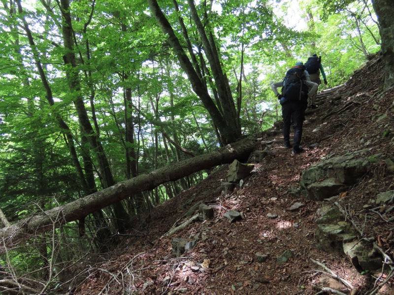 黒岳　御坂山